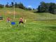 IMG-20210919-WA0110