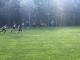 IMG-20210919-WA0138