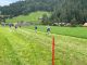 IMG-20230917-WA0041