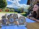 Chilbi_2022_1