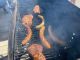 Chilbi_2022_7