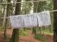 IMG-20210807-WA0018