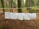 IMG-20210807-WA0021