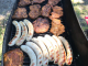 IMG-20180630-WA0013