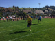 IMG-20180701-WA0020