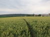 Turnfest_Roggwil 074