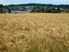 Turnfest_Roggwil 076